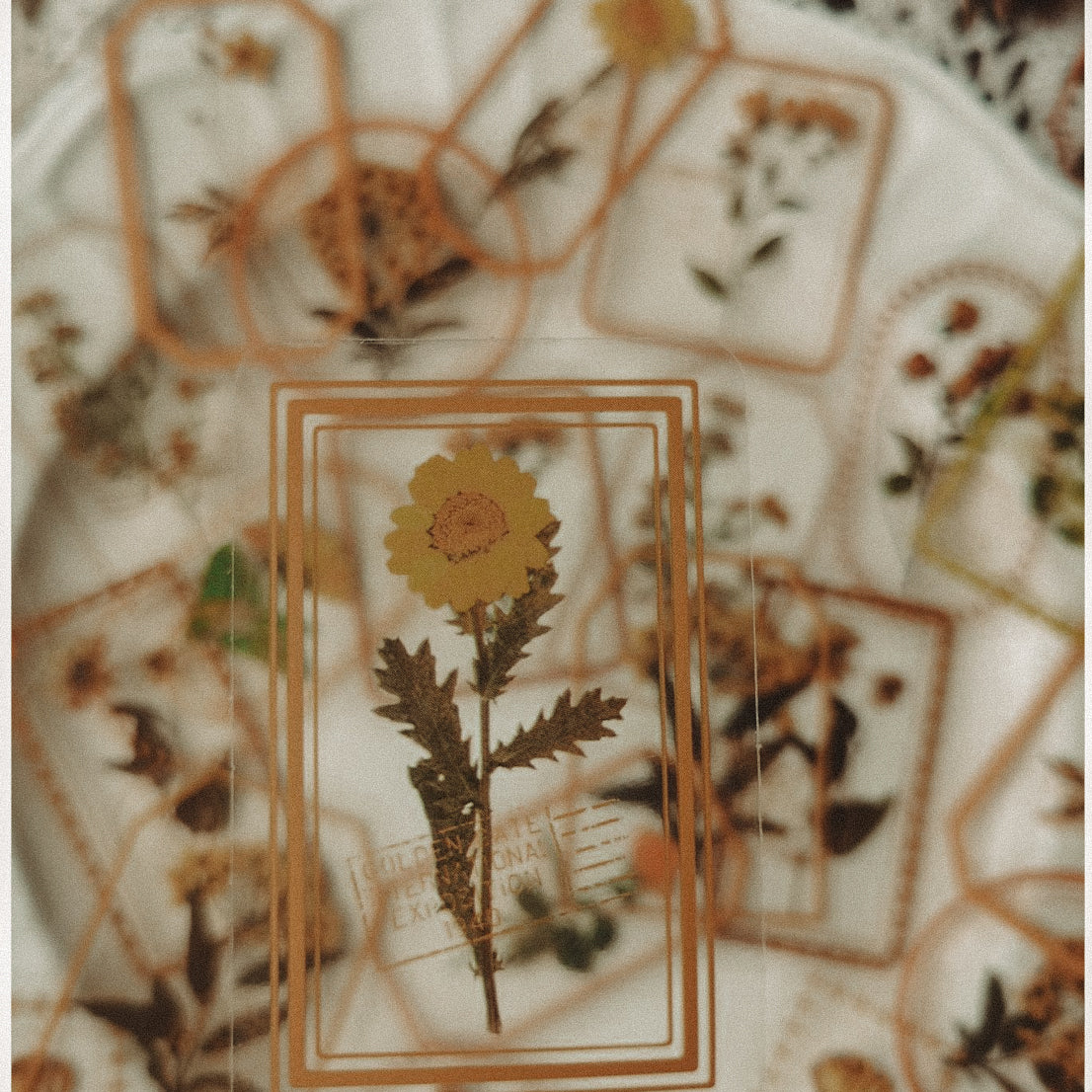 Delicate Floral Clear Stickers