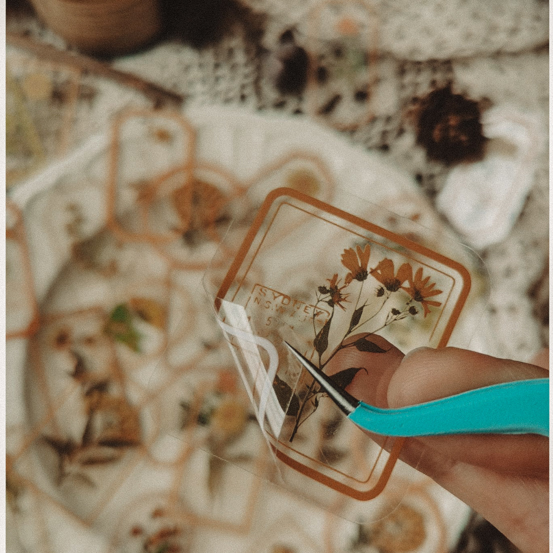 Delicate Floral Clear Stickers