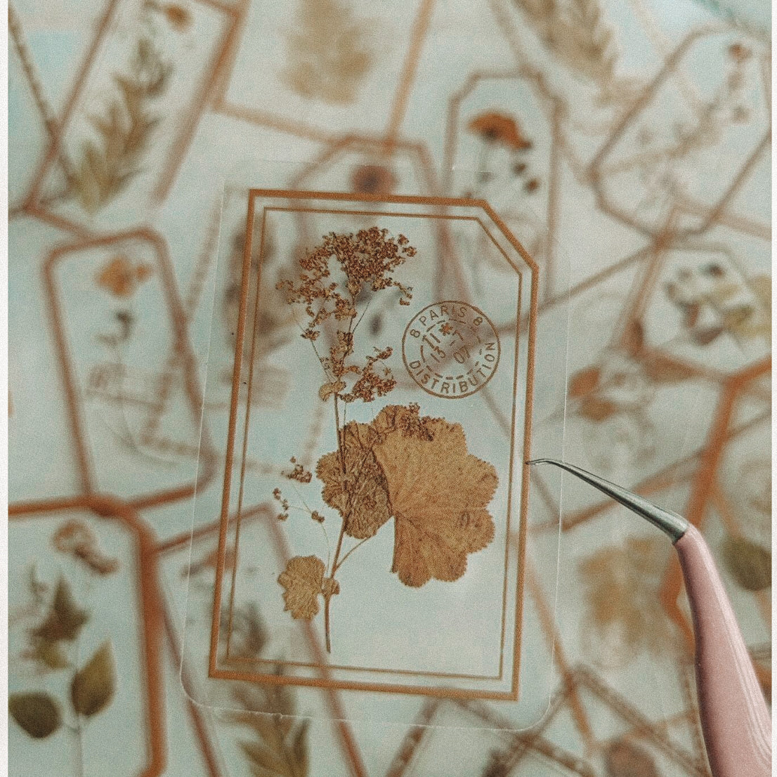 Delicate Floral Clear Stickers