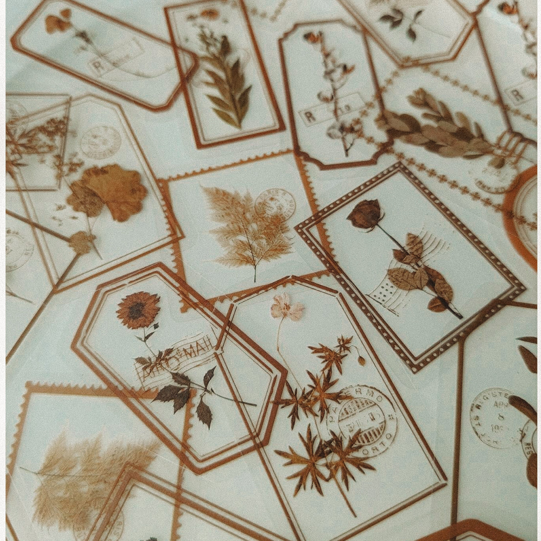 Delicate Floral Clear Stickers
